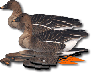 (FUD-BN) Комплект из 6 шт. складных чучел гуменника NRA FUD Bean Goose (Австралия-США)