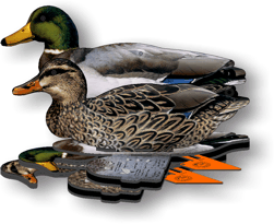 (FUD-MA) Комплект из 6 шт. складных чучел кряквы NRA FUD Mallard (Австралия-США)